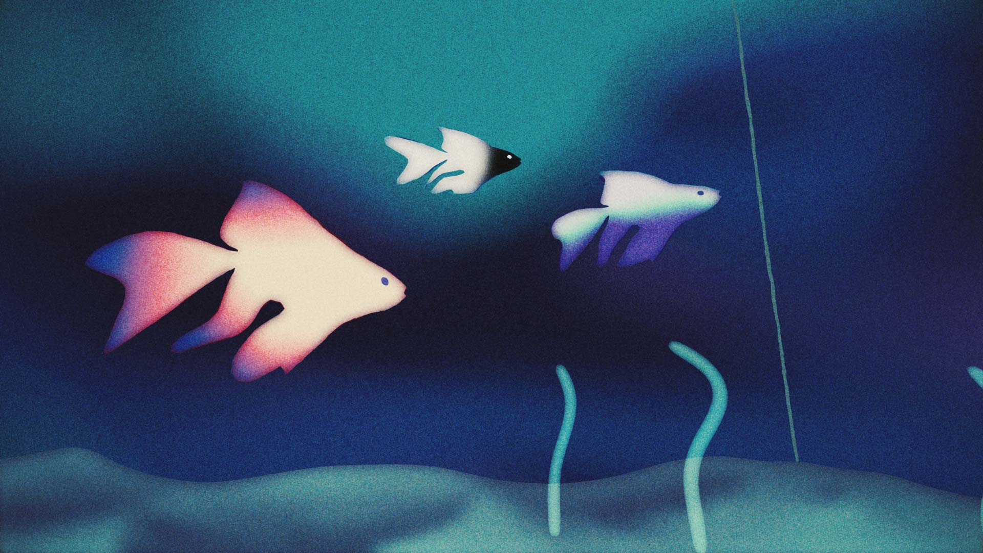 Cheltenham Cases scène 1